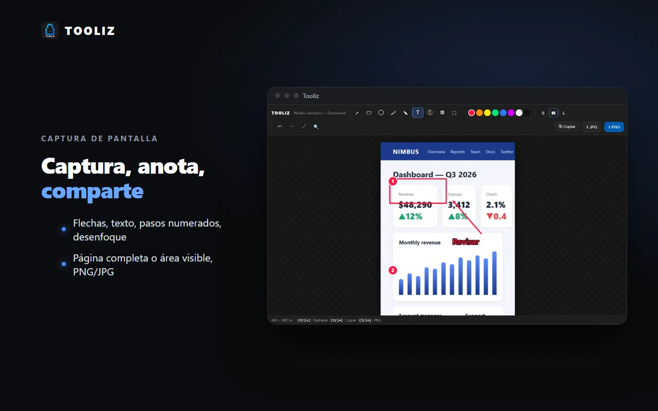 Tooliz en el navegador: captura de pantalla anotada