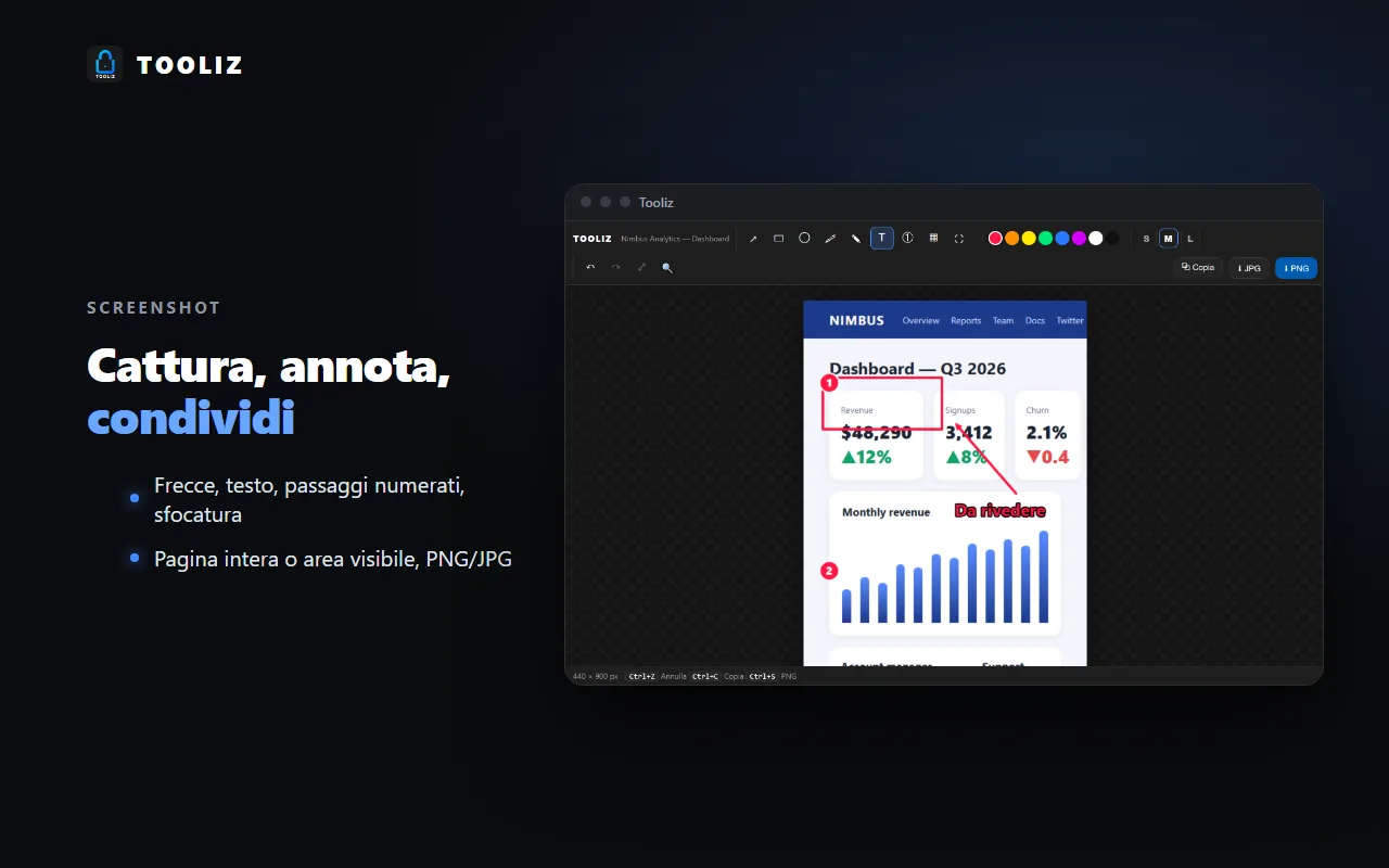 Tooliz nel browser: screenshot annotato